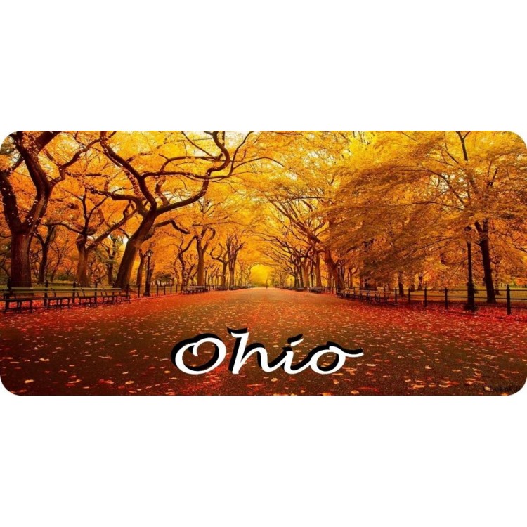LPO6827 6 x 12 in. Ohio Fall Scene Photo License Plate