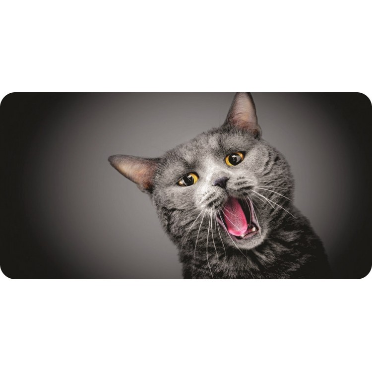 LPO6880 Gray Cat Photo License Plate