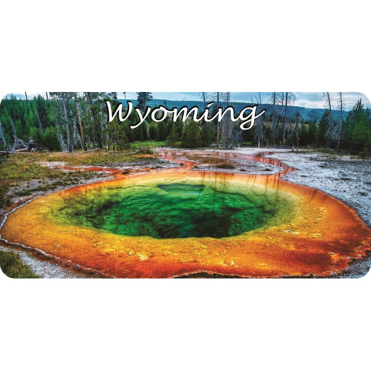 6 x 12 in. Wyoming Scenery Photo License Plate