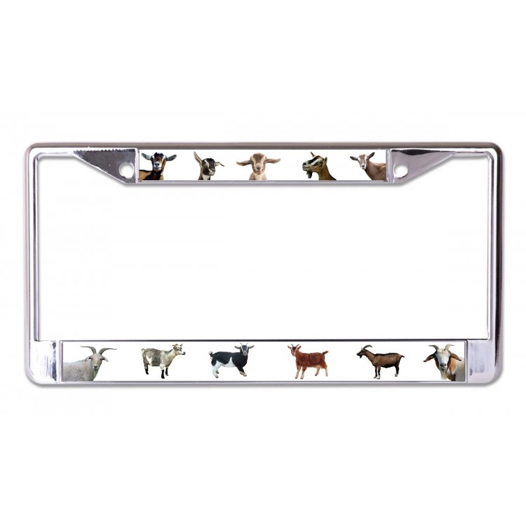 6 x 12 in. Goats Chrome License Plate Frame