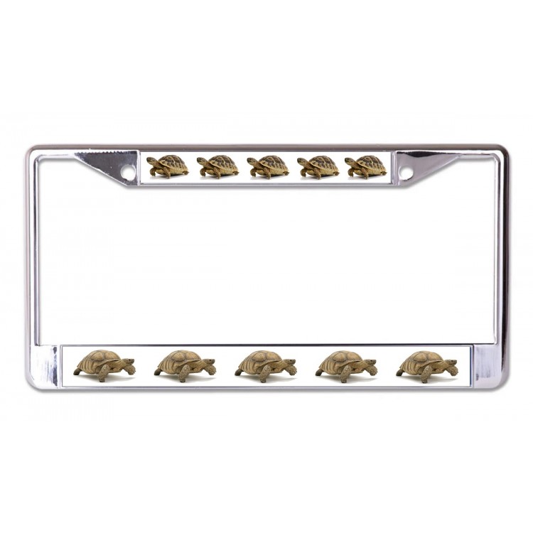 LPO7031 6 x 12 in. Tortoise Chrome License Plate Frame