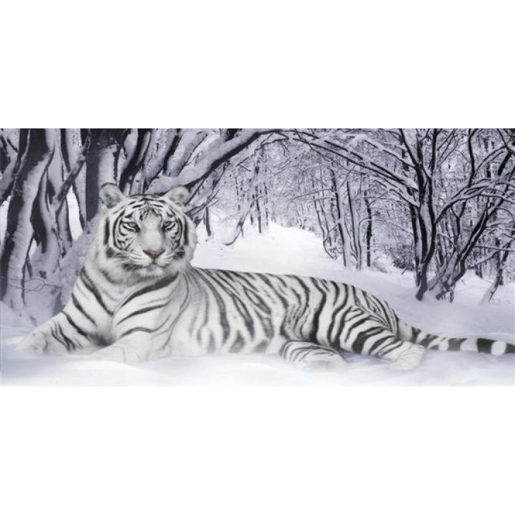 White Tiger Photo License Plate - White - Full Size - Durable Aluminum