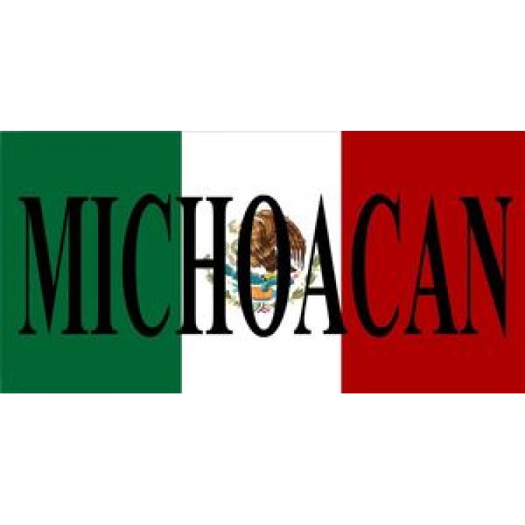 Mexican Flag with Michoacan Photo License Plate