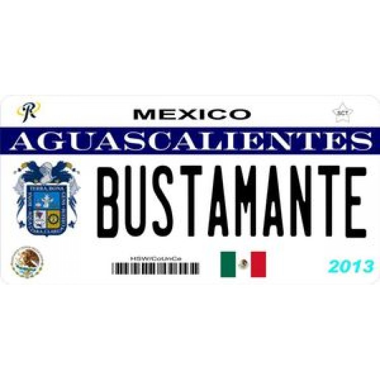 LPO885 Mexico Aguascalientes Photo License Plate
