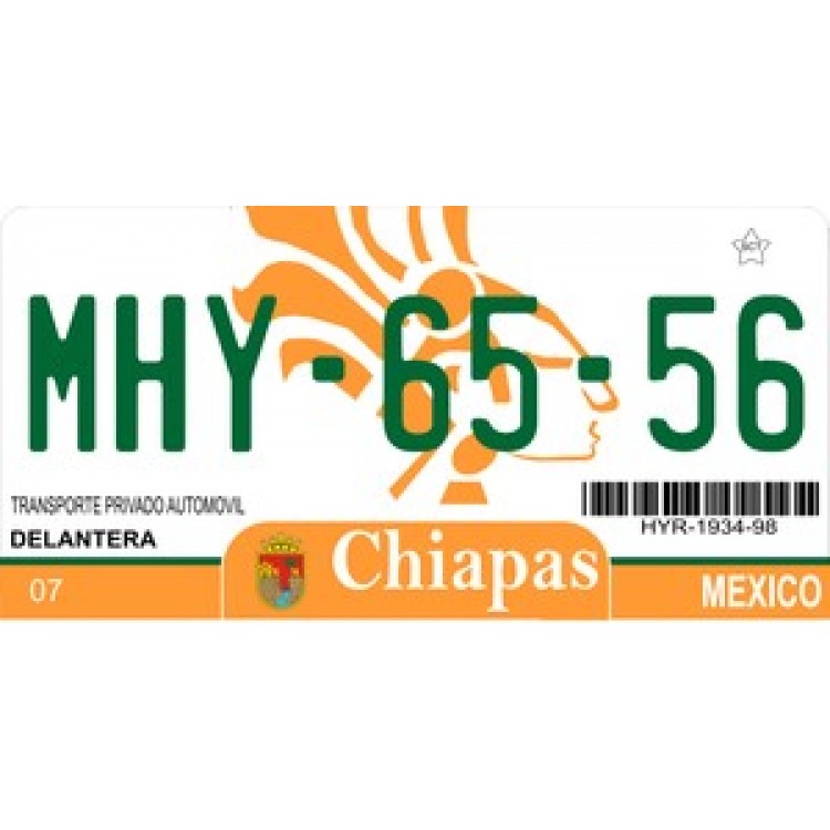 LPO889 Mexico Chiapas Photo License Plate