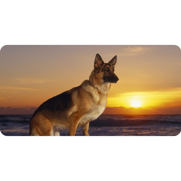 German Shepherd Sunset Photo License Plate - Aluminum - 6 x 12 in. - Durable Design
