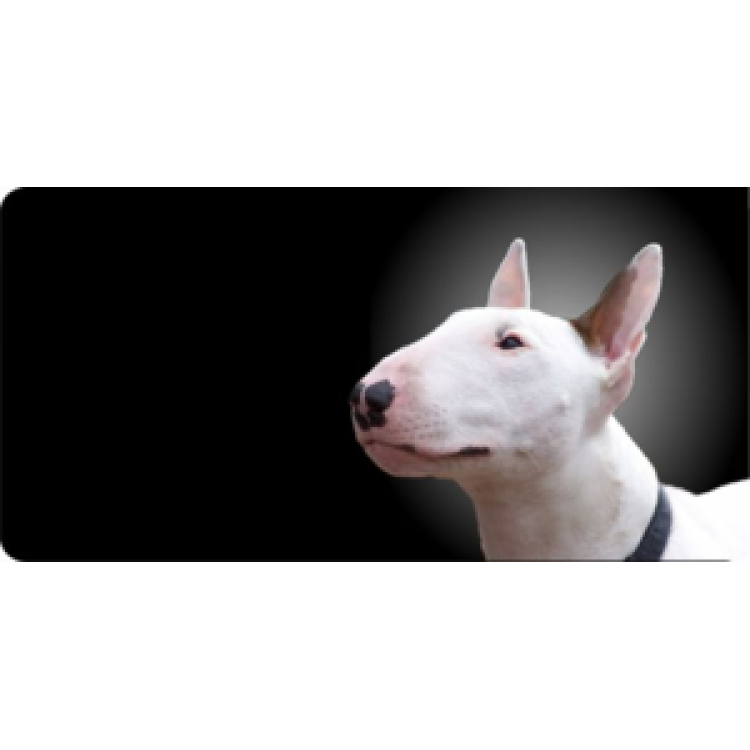 LPO535 Bull Terrior Dog Photo License Plate