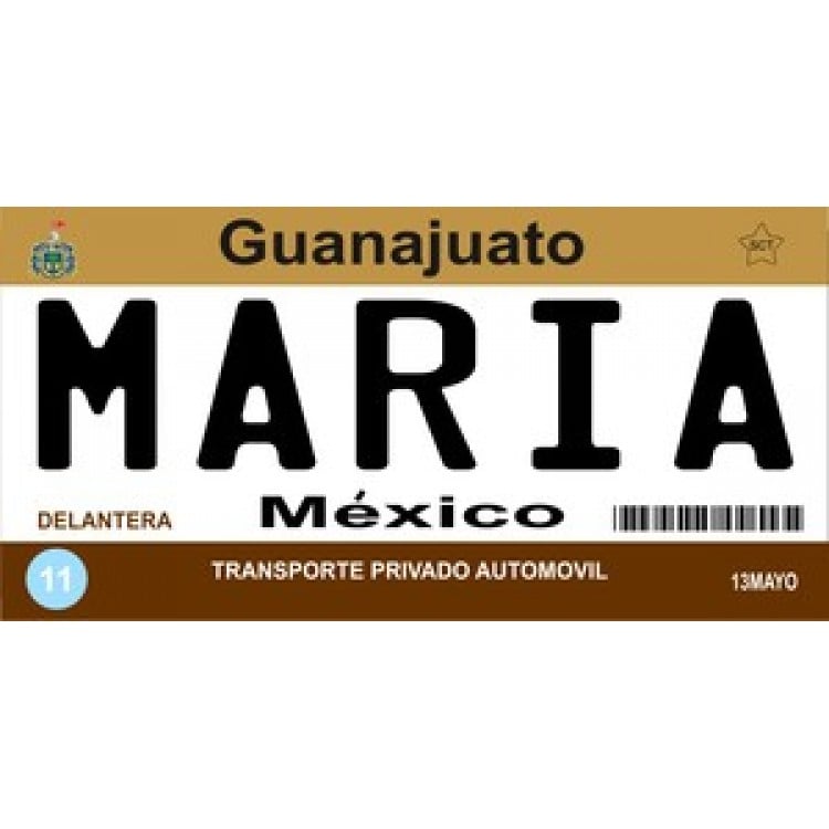 Mexico Guanajuato Photo License Plate