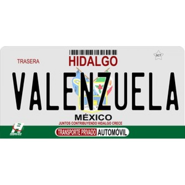 LPO897 Mexico Hidalgo Photo License Plate
