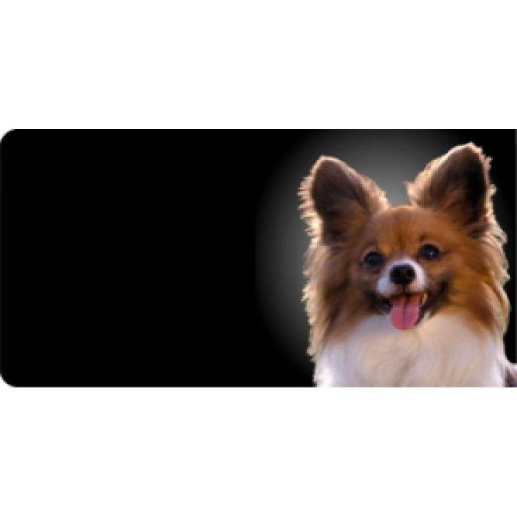 LPO546 Papillon Dog Photo License Plate