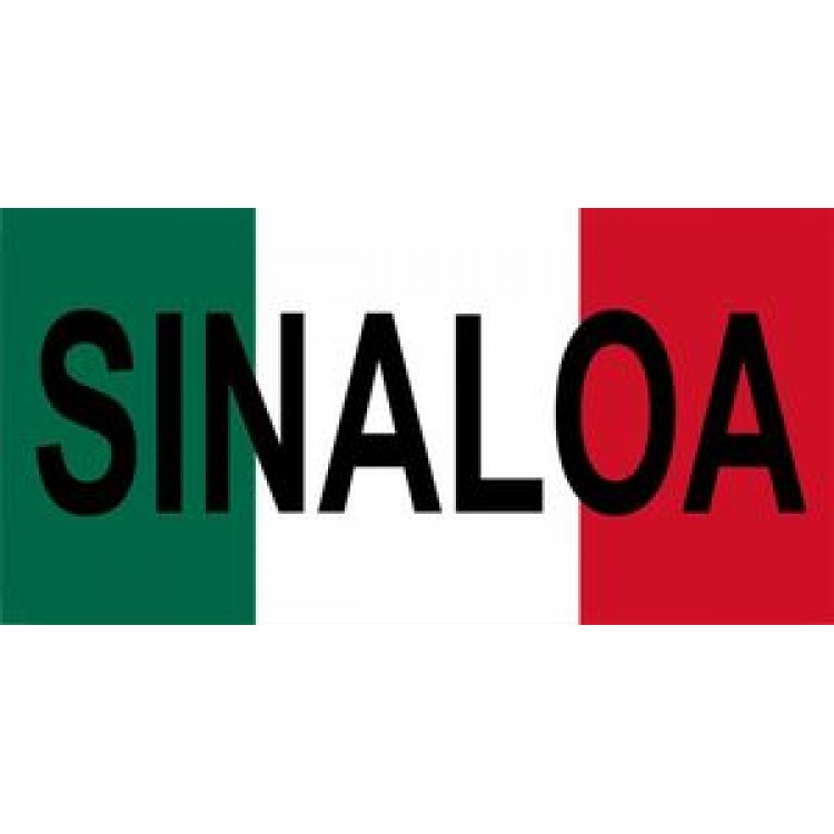 LPO402 0.03 in. Thick Mexico Sinaloa Photo License Plate