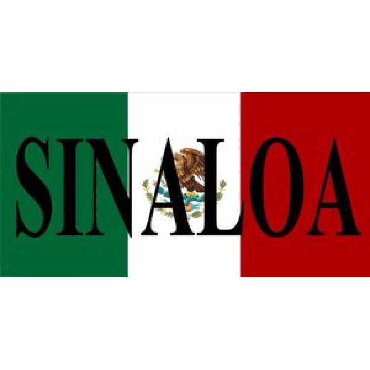 LPO416 0.03 in. Thick Mexico Sinaloa Photo License Plate