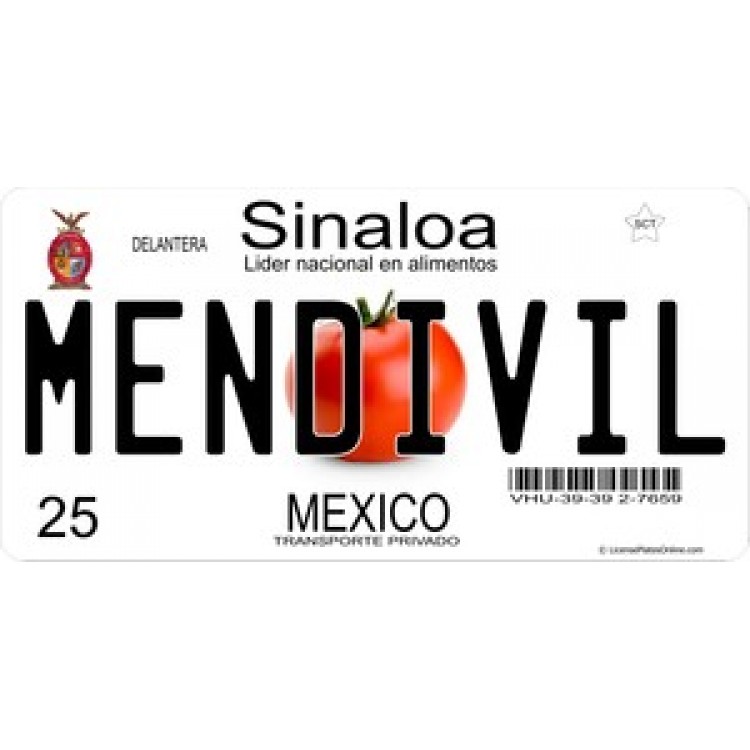 LPO909 Mexico Sinaloa Photo License Plate