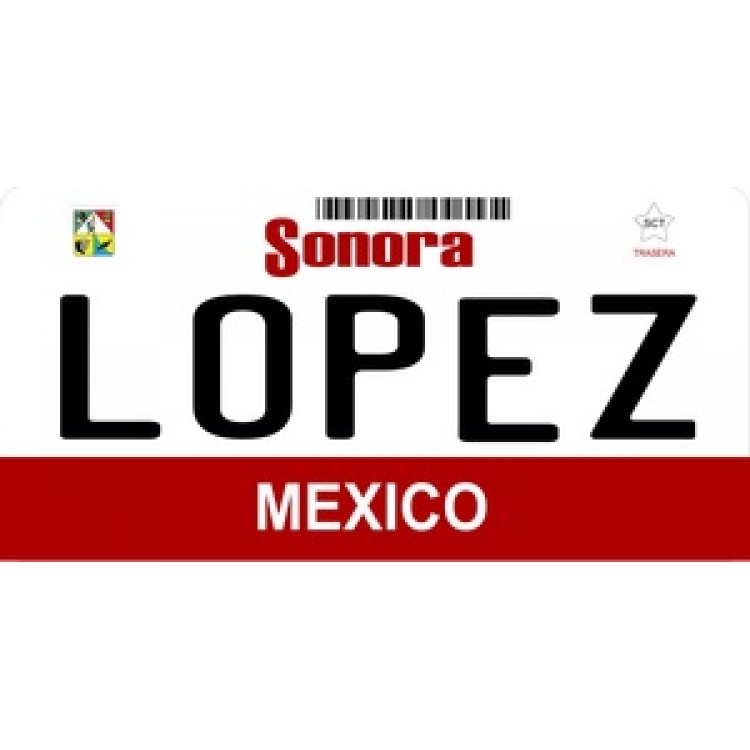 LPO910 Mexico Sonora Photo License Plate