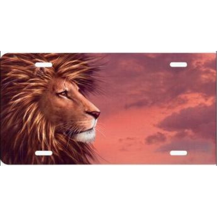 SM724 6 x 12 in. Lion Head Offset Airbrush License Plate, Free Personalization on This Air Brush -  212 Main