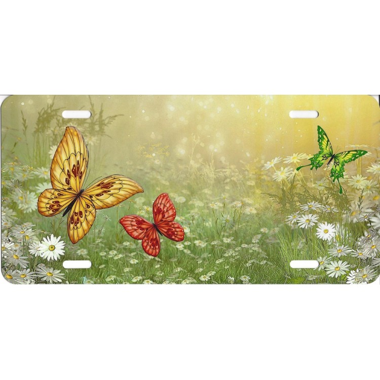 SM725 6 x 12 in. Butterflies in Forest License Plate