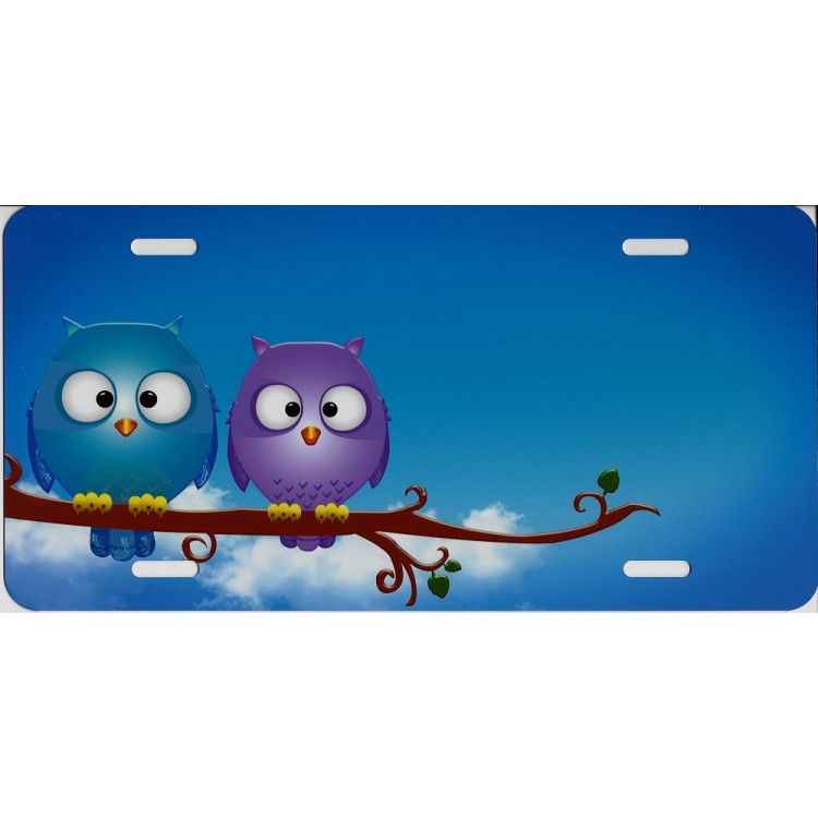 SM843 6 x 12 in. Offset Cartoon Owl Perched License Plate