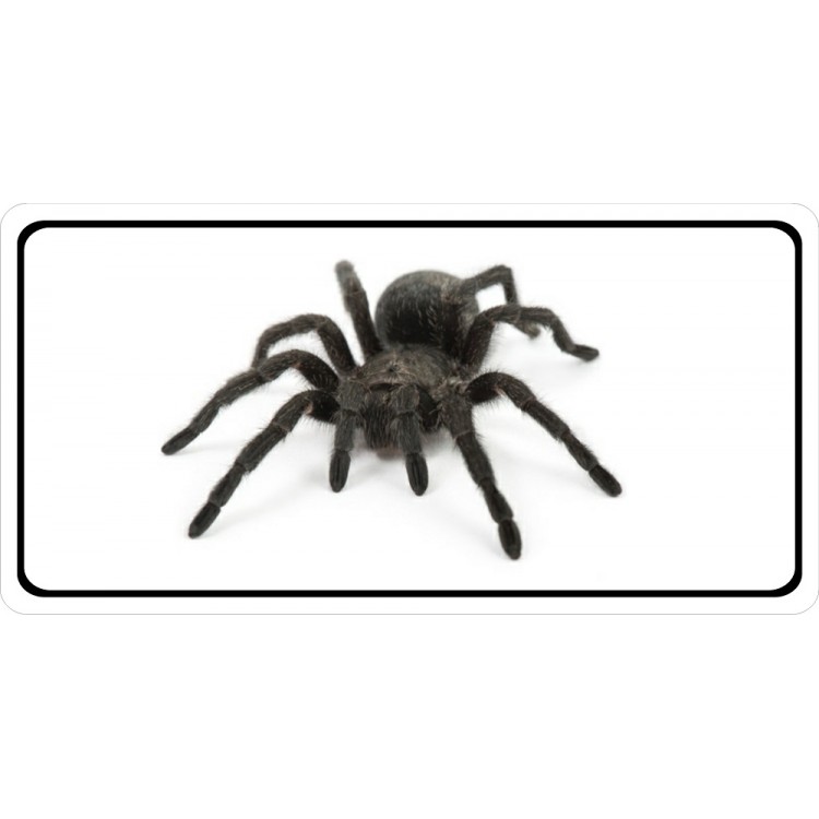 LPO2965 6 x 12 in. Tarantula Photo License Plate