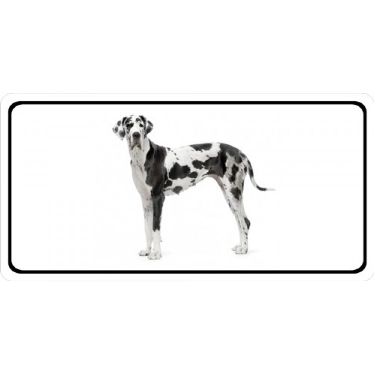 LPO3131 6 x 12 in. Great Dane Photo License Plate