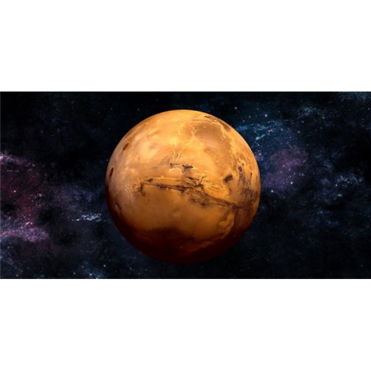 LPO3142 6 x 12 in. Mars Photo License Plate