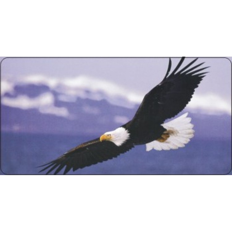 LPO3180 6 x 12 in. Soaring Eagle on Clouds Photo License Plate