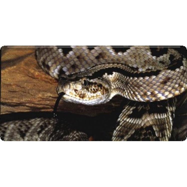 LPO3185 Rattlesnake Photo License Plate