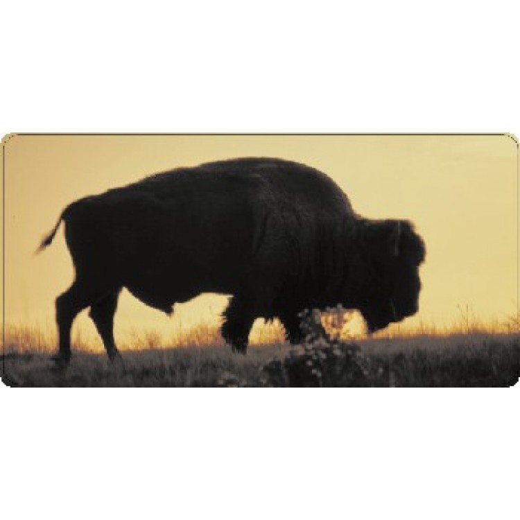 6 x 12 in. Bison Buffalo at Sunset Photo License Plate