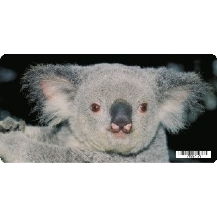 LPO3210 6 x 12 in. Koala Bear Photo License Plate