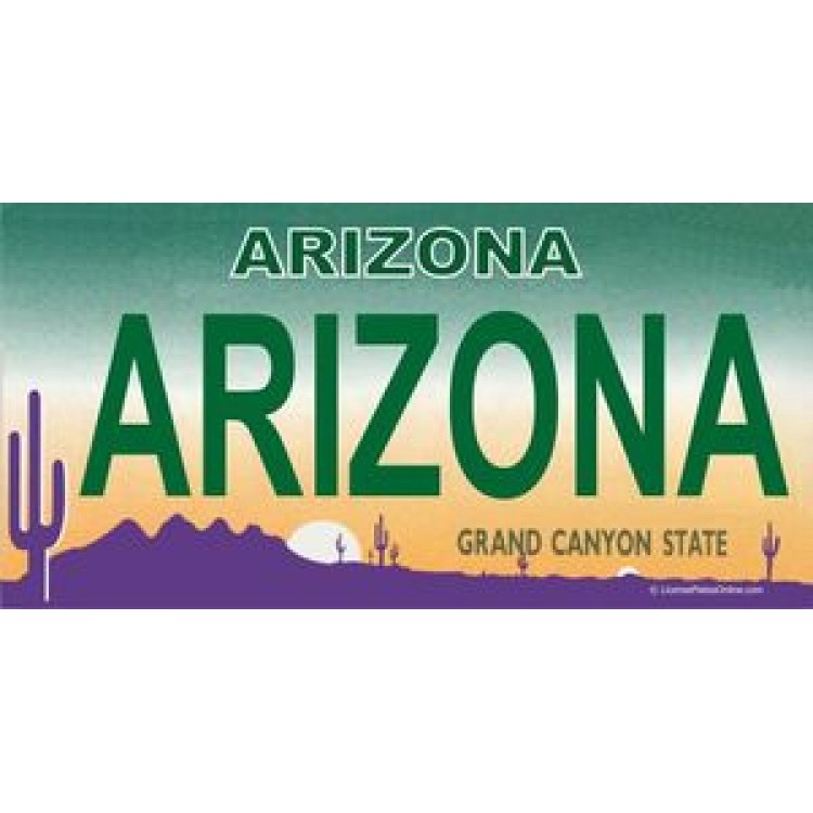 LPO821 Arizona Photo License Plate