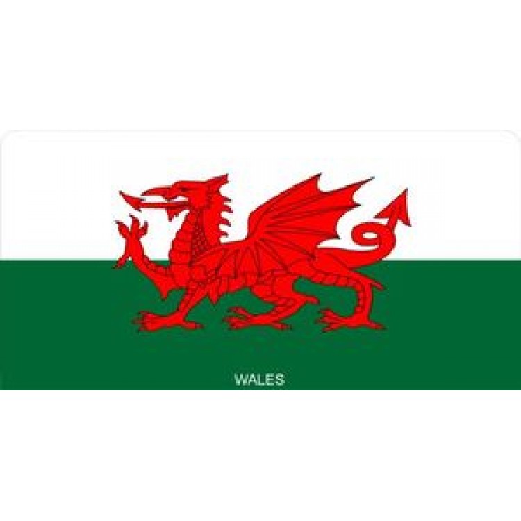 LPO865 Wales Flag Photo License Plate