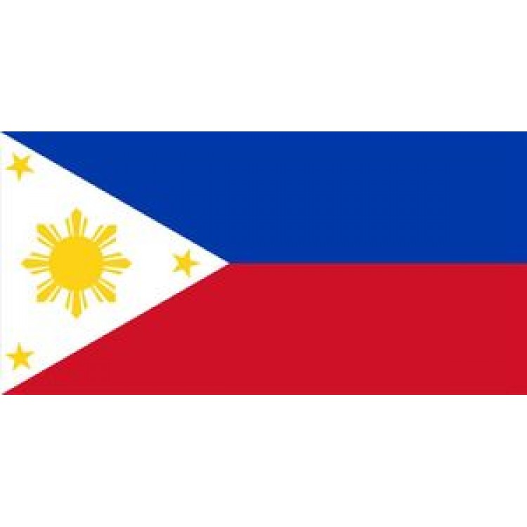 LPO868 Philippines Flag Photo License Plate