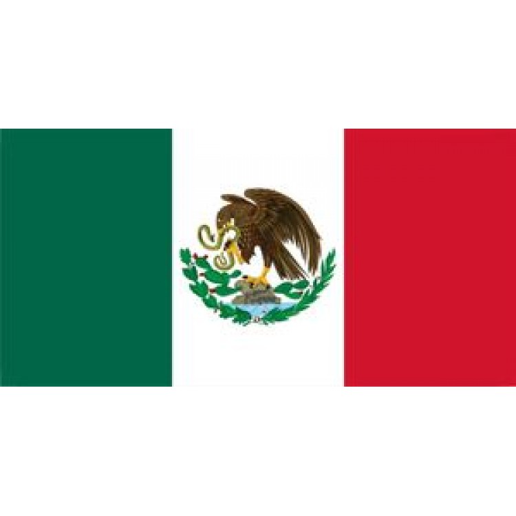 LPO883 Mexico Flag Photo License Plate