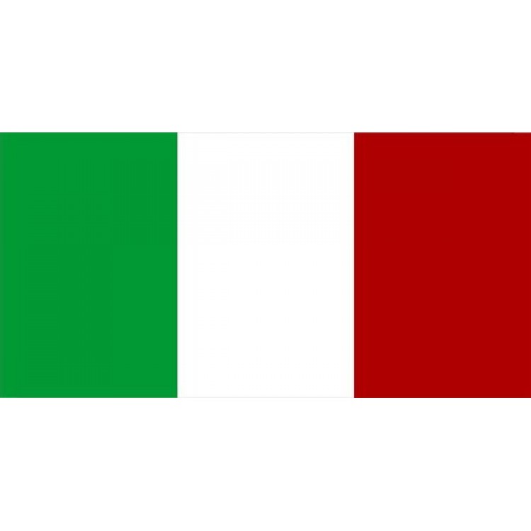 LPO927 Italy Flag Photo License Plate