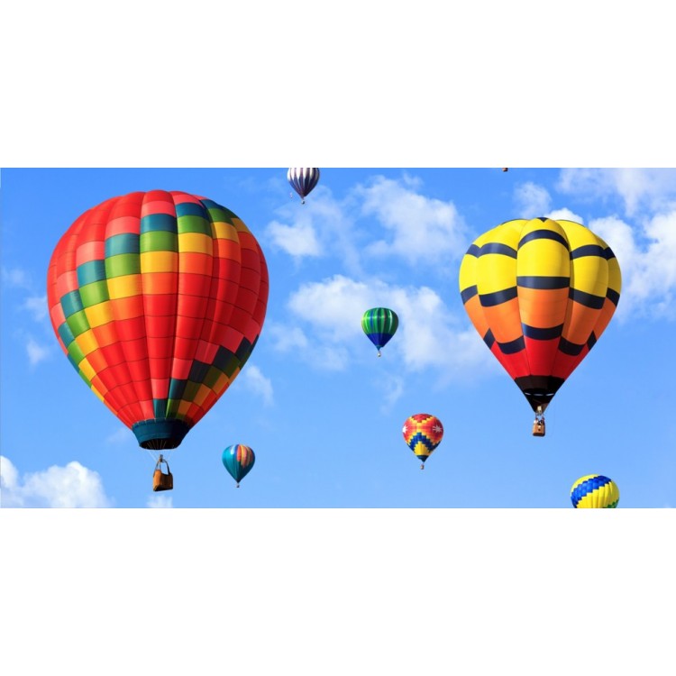 LPO2623 6 x 12 in. Air Balloons in the Clouds Photo License Plate