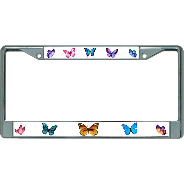 6 x 12 in. Colorful Butterflies Chrome License Plate Frame