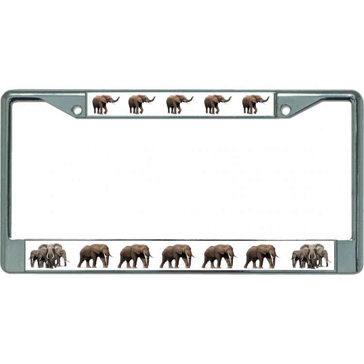 LPO5495 6 x 12 in. Nothing But Elephants Chrome License Plate Frame