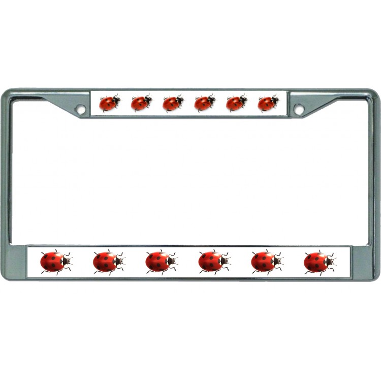 LPO5497 6 x 12 in. Multiple Ladybugs Chrome License Plate Frame