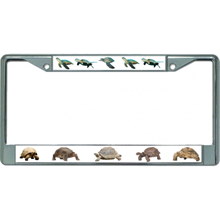 LPO5499 6 x 12 in. Tortoises & Sea Turtles Chrome License Plate Frame