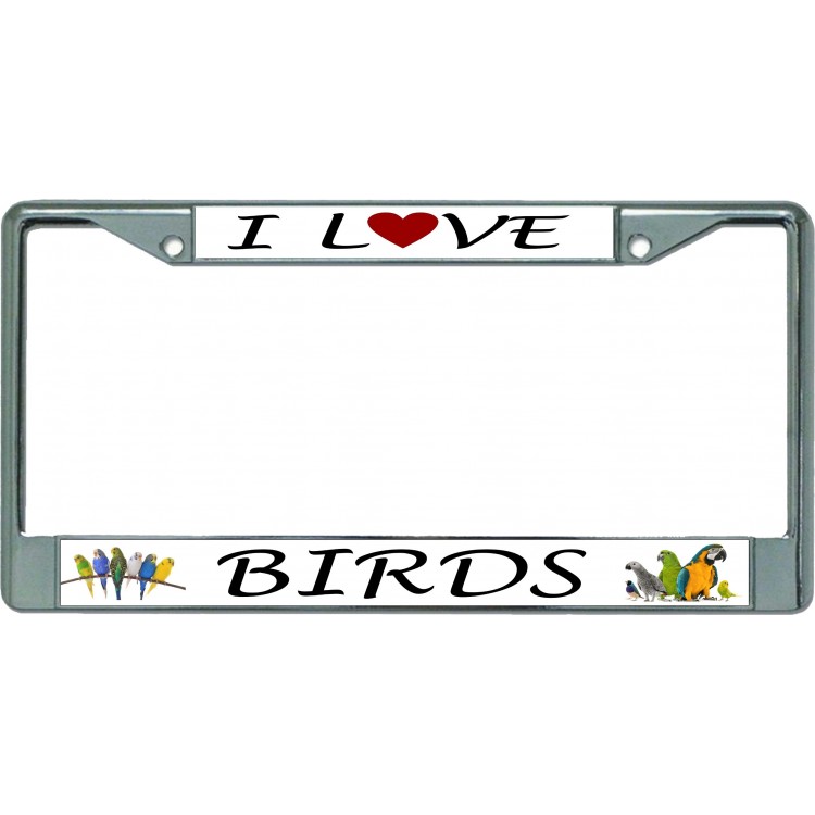 LPO5573 6 x 12 in. I Love Birds Chrome License Plate Frame
