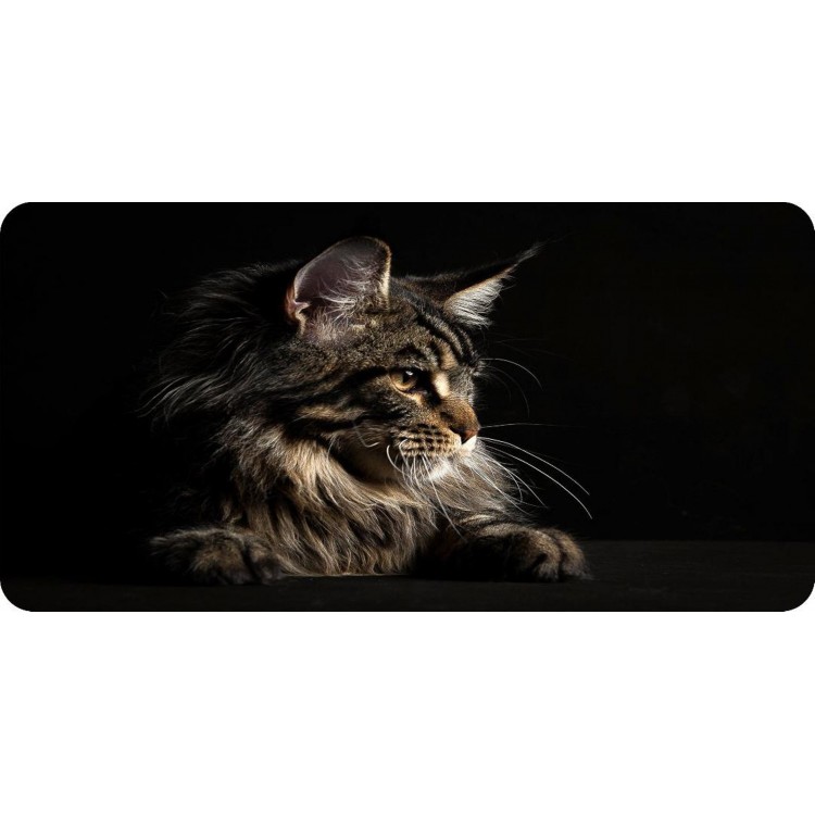 6 x 12 in. Gray Cat Photo License Plate