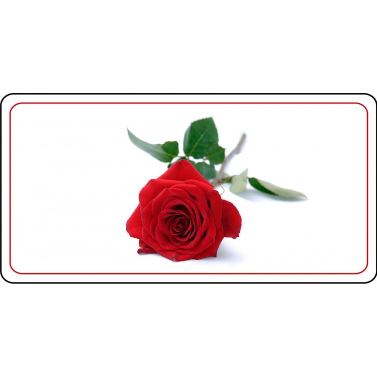 LPO7255 6 x 12 in. Single Red Rose Photo License Plate