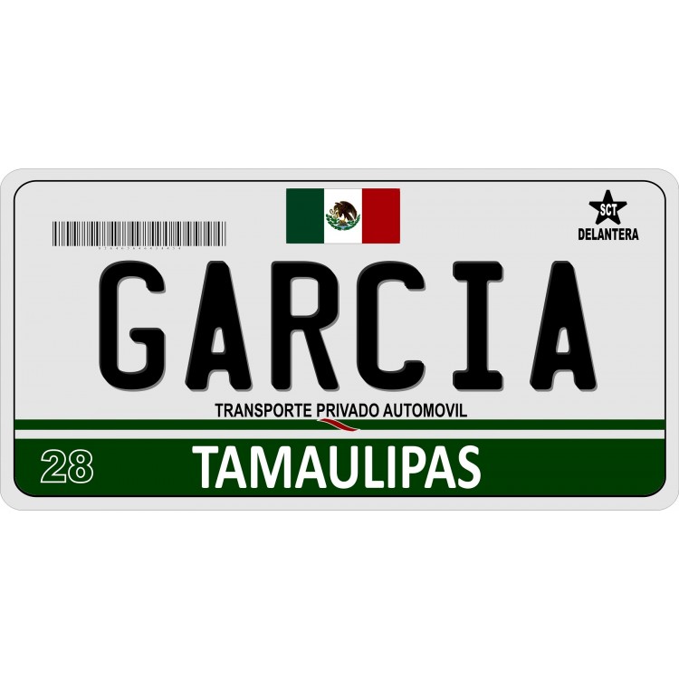 LPO912 Mexico Tamaulipas Photo License Plate