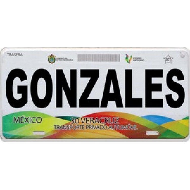 LPO914 Mexico Veracruz Photo License Plate