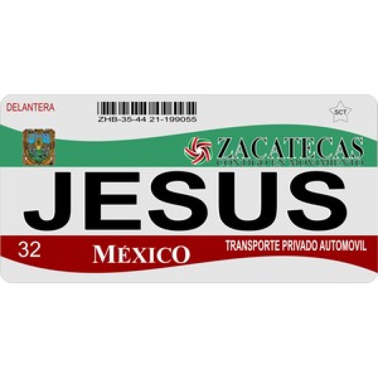LPO916 Mexico Zacatecas Photo License Plate