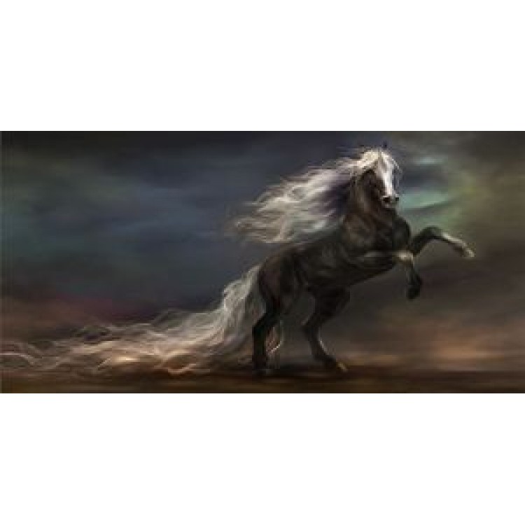 Abstract Horse Photo License Plate