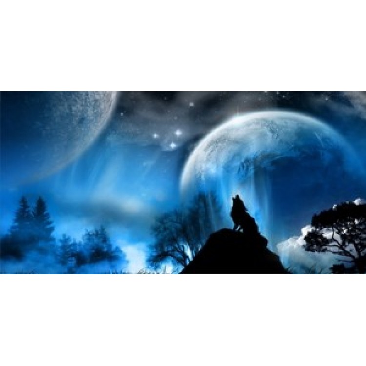 LPO613 Howling Wolf Photo License Plate