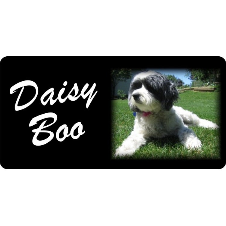 LPO1418 Personalized Tibetan Terrier Photo License Plate