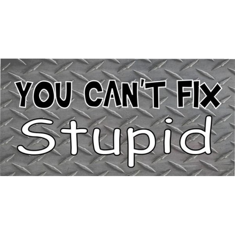 LPO1099 You Cannot Fix Stupid Photo License Plate
