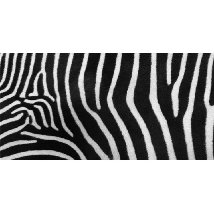 LPO1250 Zebra Print Photo License Plate