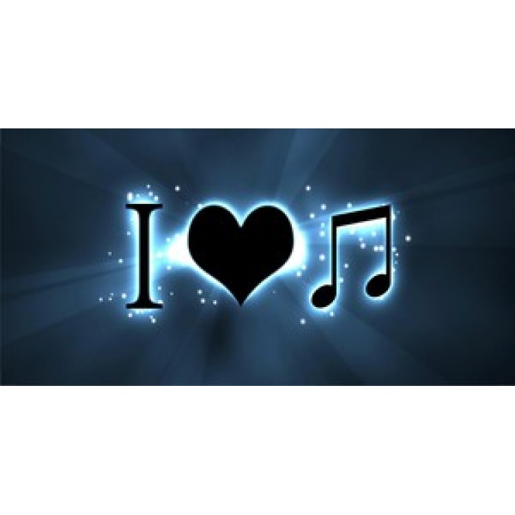 LPO601 I Love Music Photo License Plate